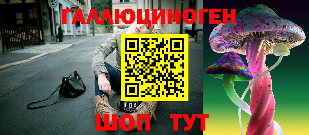 Галлюциногенные грибы Psilocybe  Псилоцибиновые грибы MAGIC MUSHROOMS  Черногорск  Вход с VPN 